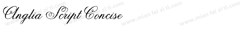 Anglia Script Concise字体转换